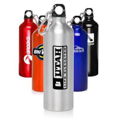 24 Oz. Aluminum Water Bottle